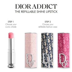 Dior Addict Shine Lipstick Couture Case,- Læber