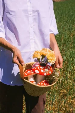 Doiy Amanita Svampe Vase,- Vaser & Urtepotteskjulere