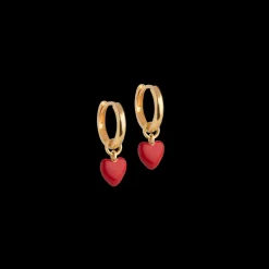 Clearance Amore Hoops, Dame Øreringe