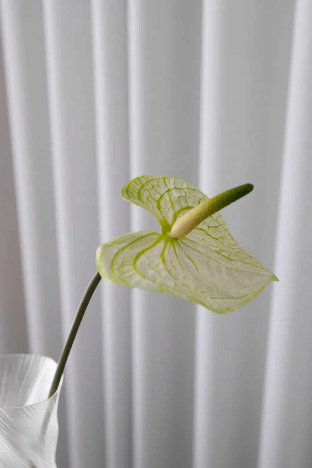 Bloom Objects Anthurium Kunstig Blomst,- Kunstige Blomster