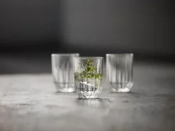 Lyngby Glas Astrid 6-pak Vandglas, , 25 cl- Glas