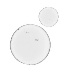 The Ordinary Balancing & Clarify Serum, 30 ml- Ansigtspleje