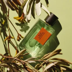 Goldfield & Banks Blue Cypress Perfume, 100 ml- Eau De Parfum|Nicheparfumer
