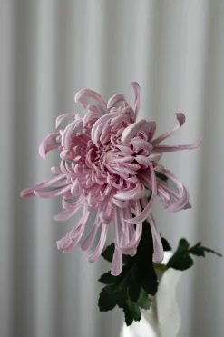 Bloom Objects Chrysanthemum Kunstig Blomst,- Kunstige Blomster