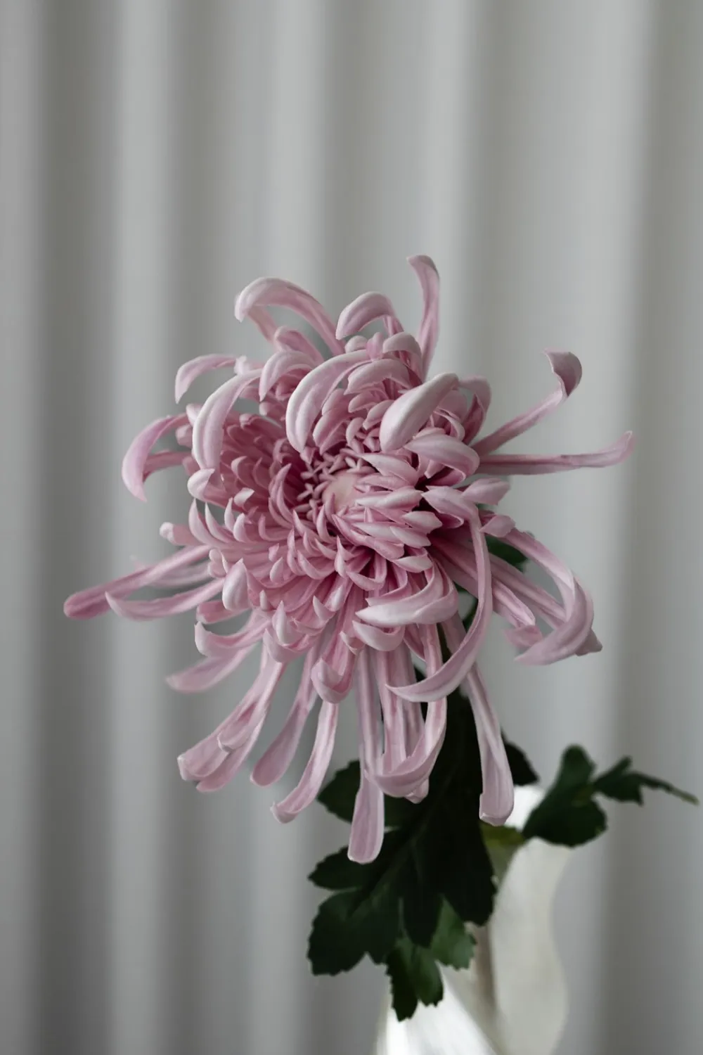 Bloom Objects Chrysanthemum Kunstig Blomst,- Kunstige Blomster