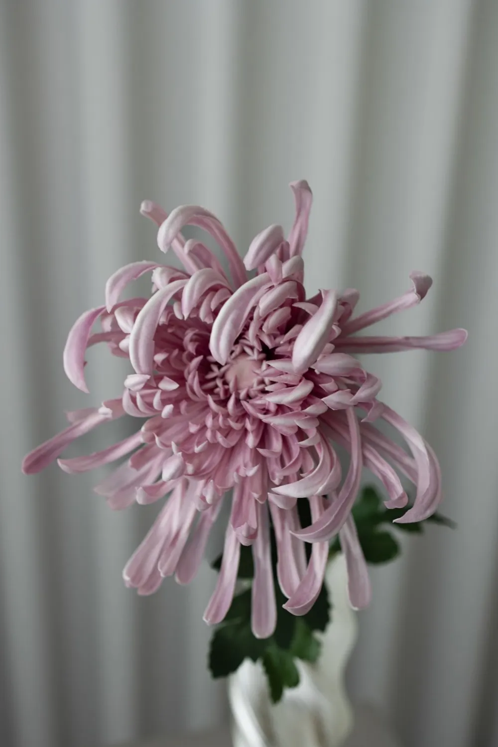 Bloom Objects Chrysanthemum Kunstig Blomst,- Kunstige Blomster