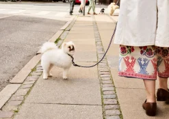 HAY Dog Braided Hundesnor,- Udstyr Til Kæledyr