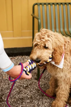 HAY Dog Braided Hundesnor,- Udstyr Til Kæledyr