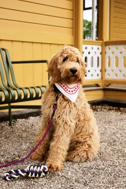 HAY Dog Braided Hundesnor,- Udstyr Til Kæledyr