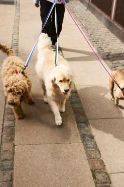 HAY Dog Braided Hundesnor,- Udstyr Til Kæledyr