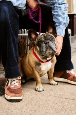 HAY Dog Braided Hundesnor,- Udstyr Til Kæledyr