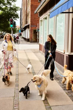 HAY Dog Braided Hundesnor,- Udstyr Til Kæledyr