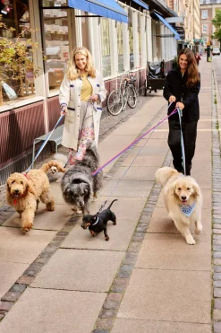 Discount Dog Flat Hundehalsbånd, Udstyr Til Kæledyr