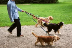 Discount Dog Flat Hundesnor, Udstyr Til Kæledyr