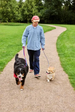 HAY Dog Flat Hundesnor,- Udstyr Til Kæledyr