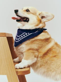 Discount Dog Hundetørklæde, Udstyr Til Kæledyr