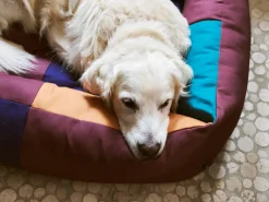 New Dog Large Hundeseng, Udstyr Til Kæledyr