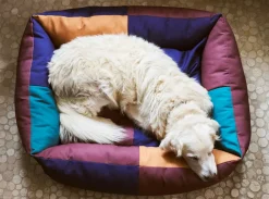 New Dog Large Hundeseng, Udstyr Til Kæledyr