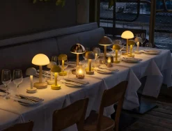 Discount Firefly Bordlampe, Bordlamper