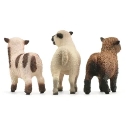 Schleich Fårevenner-Børn Legetøjsfigurer & Klodser