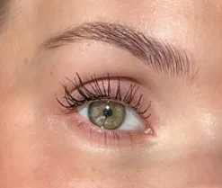 Sandstone Grand Danois Mascara, Black- Øjne