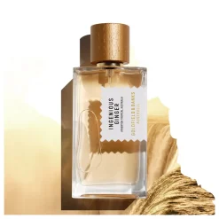 Best Ingenious Ginger Perfume, 100 ml Eau De Parfum|Eau De Parfum