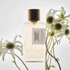 Best Ingenious Ginger Perfume, 100 ml Eau De Parfum|Eau De Parfum