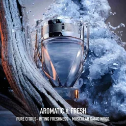 Rabanne Invictus Eau De Toilette, 100 ml- Eau De Toilette