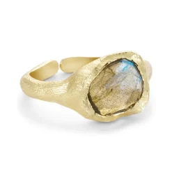Best Johanne Ring, Dame Ringe