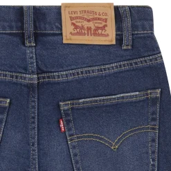 Levi's Kids 555™ Relaxed Straight Jeans, , 8 år-Børn Jeans