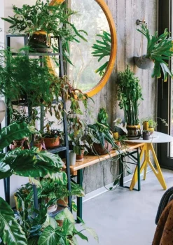 Discount Kinfolk Garden Coffee Table Books