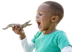 Schleich Krokodille-Børn Legetøjsfigurer & Klodser