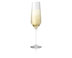 Eva Trio Legio Nova 6-pak Champagneglas, , 26 cl- Glas