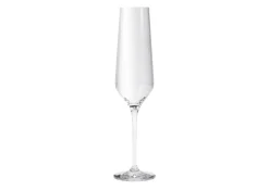 Eva Trio Legio Nova 6-pak Champagneglas, , 26 cl- Glas