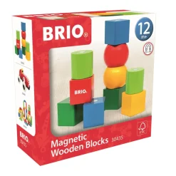 BRIO Magnetiske Træklodser-Børn Babylegetøj