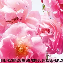 Outlet Miss Rose N'Roses, 100 ml Dufte