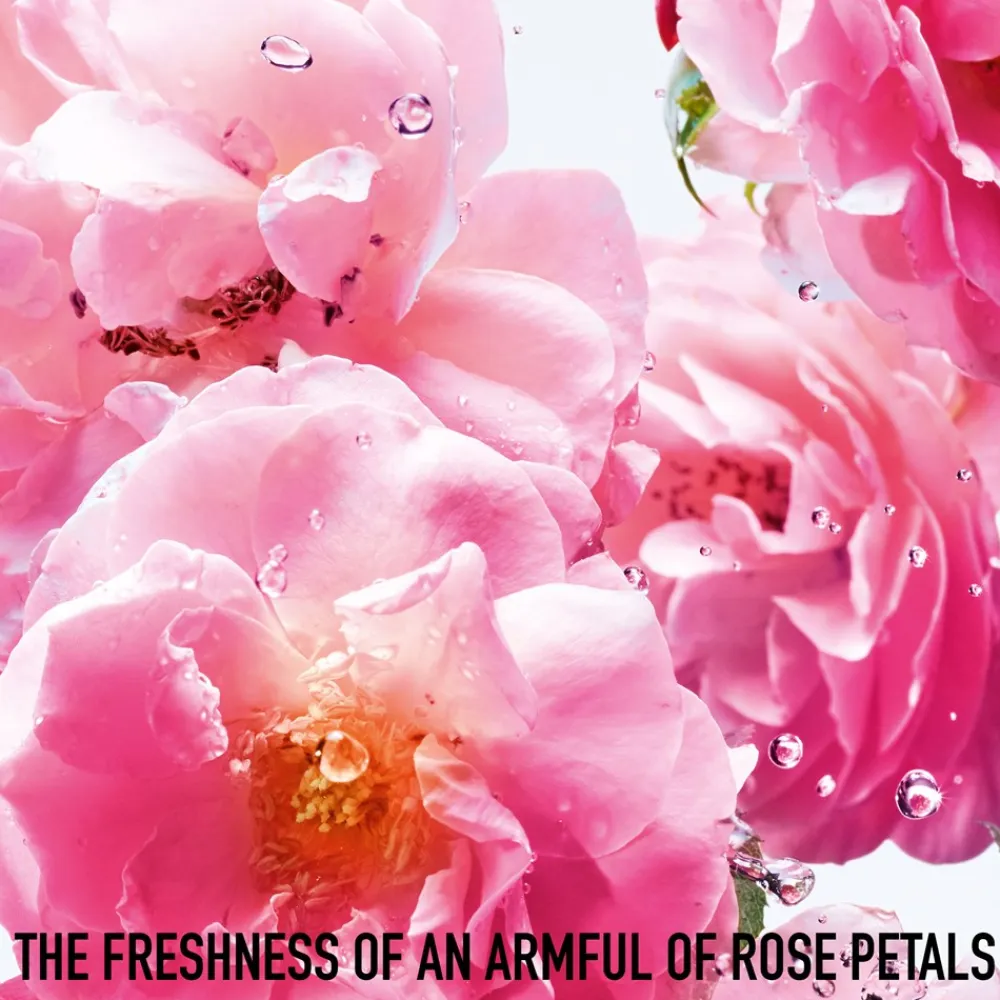Outlet Miss Rose N'Roses, 100 ml Dufte