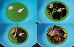 Best Osteria 16 No. 2 Mad & Vin