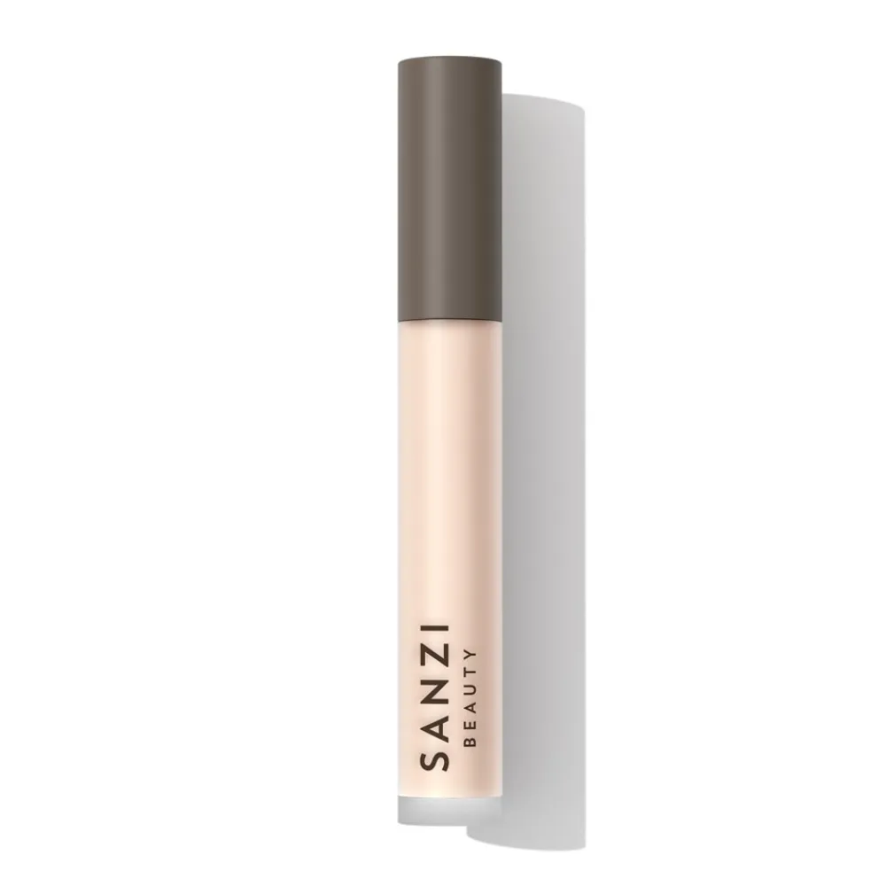 Discount Perfecting Mineral Pigments Concealer, Ansigt