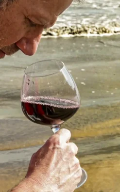 Endeavour Red Sand 4-pak Rødvinsglas, , 58 cl- Glas