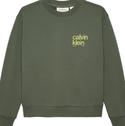 Calvin Klein Relaxed Back Print Sweatshirt, , 152 cm-Børn Strik & Sweatshirts