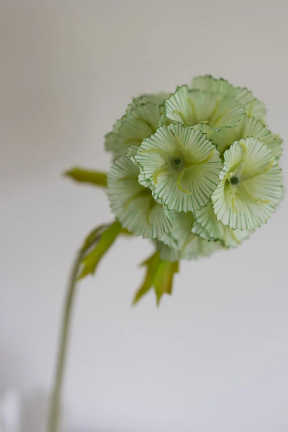 Bloom Objects Scabiosa Kunstig Blomst,- Kunstige Blomster