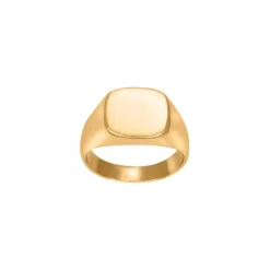 Son of Noa Signet Ring, , 60- Smykker