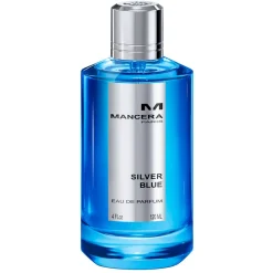 Online Silver Blue Eau De Parfum, 120 ml Nicheparfumer