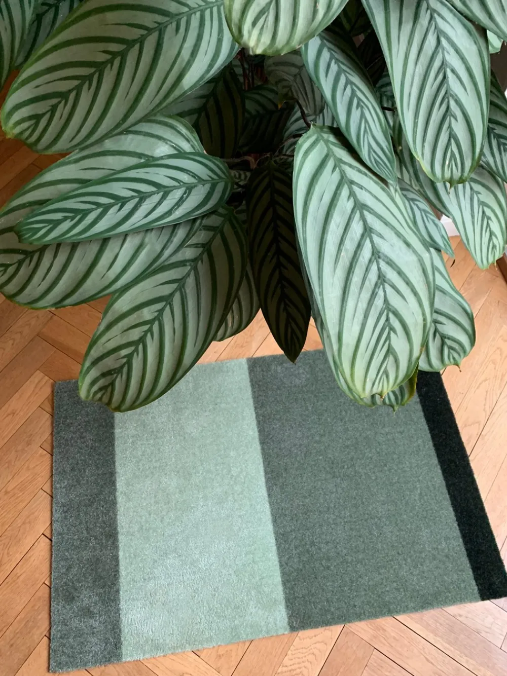 Tica Copenhagen Stripe Horisontal Gulvtæppe, , 60x90 cm- Gulvtæpper|Dørmåtter