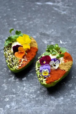 New Mags The Avocado Book- Mad & Vin