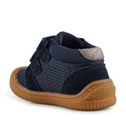 Tristan Baby Begyndersko, , 19 Børn Begyndersko