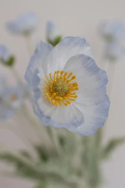 Best Valmue Kunstig Blomst, Kunstige Blomster