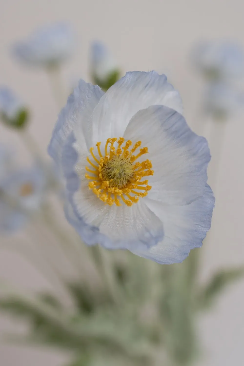Best Valmue Kunstig Blomst, Kunstige Blomster