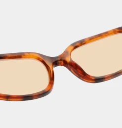 Clearance Will Solbriller, Dame Solbriller|Solbriller